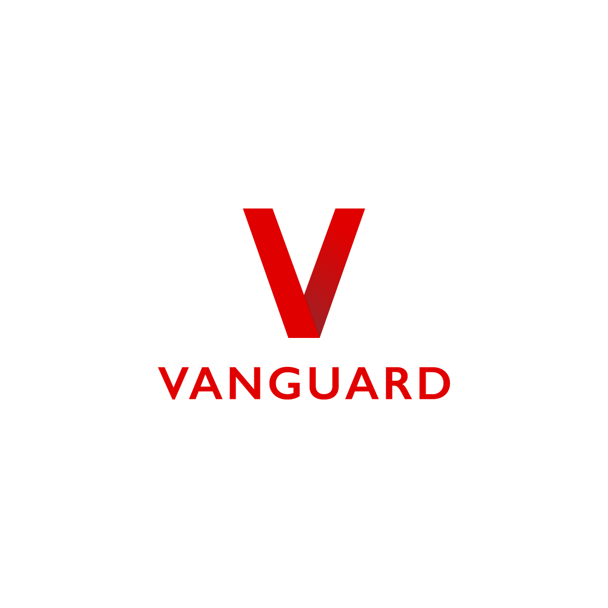 Vanguard Business Solution and Consulting